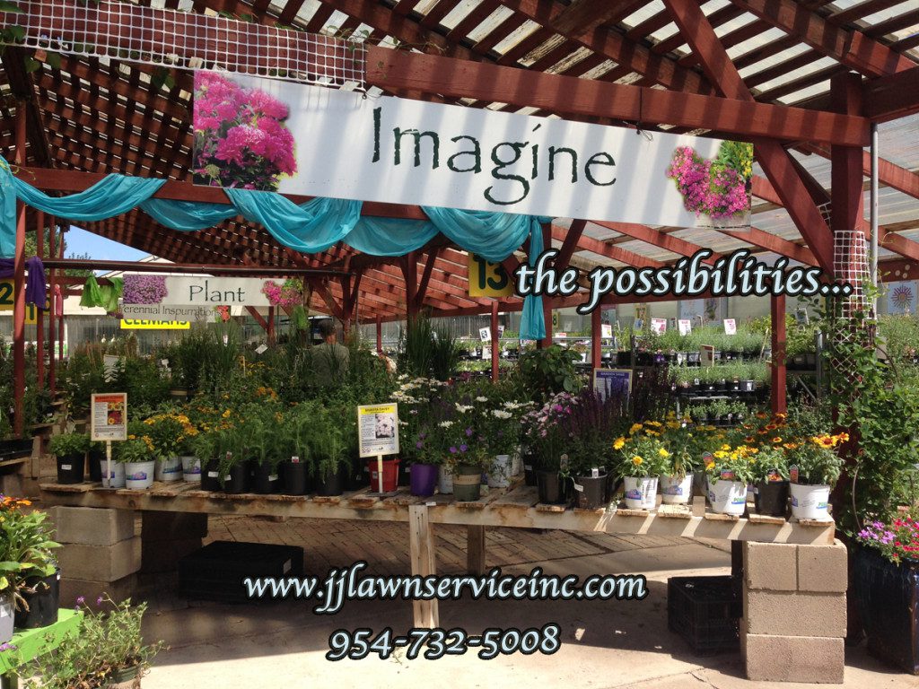 imagine the possibilities landscape design