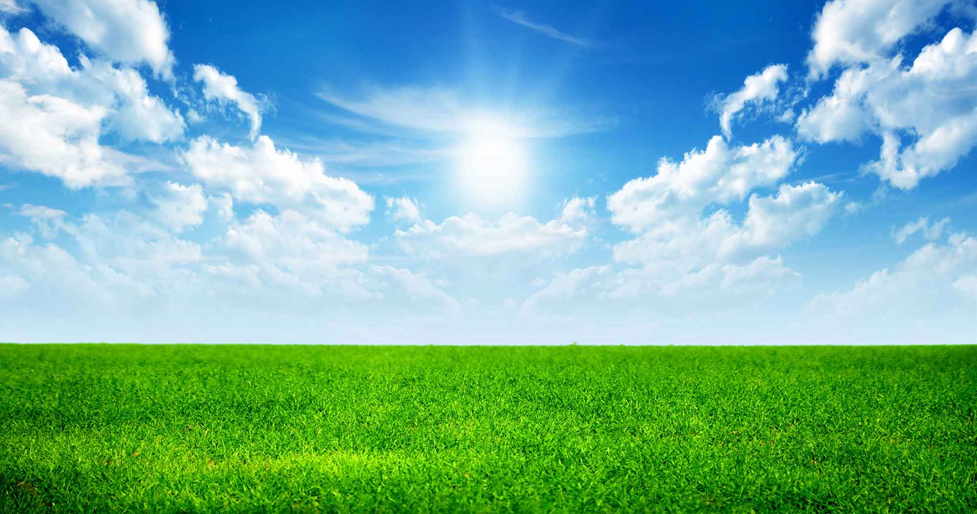 sky-grass-background-reduced.jpg