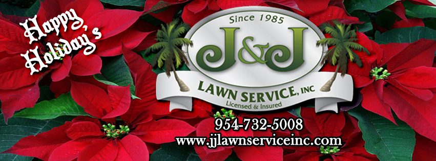 poinsettia banner