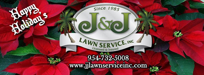 poinsettia banner