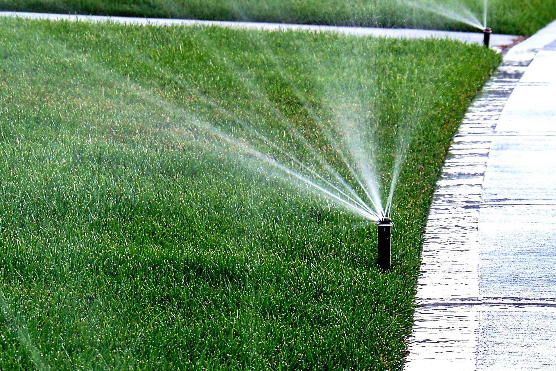 Lawn Care Tip: Overwatering....Turn off your sprinklers!
