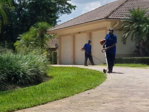 Commercial Lawn Care