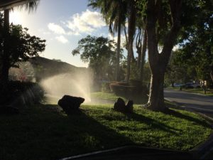 Commercial lawn care maintenance lighthouse point