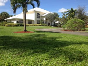 Lighthouse Point Lawn Service