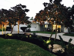 Landscape Lighting Coral Springs